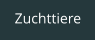 Zuchttiere